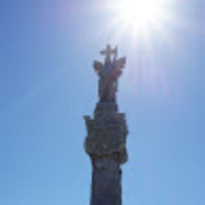 Meet your Posher, Sylvia